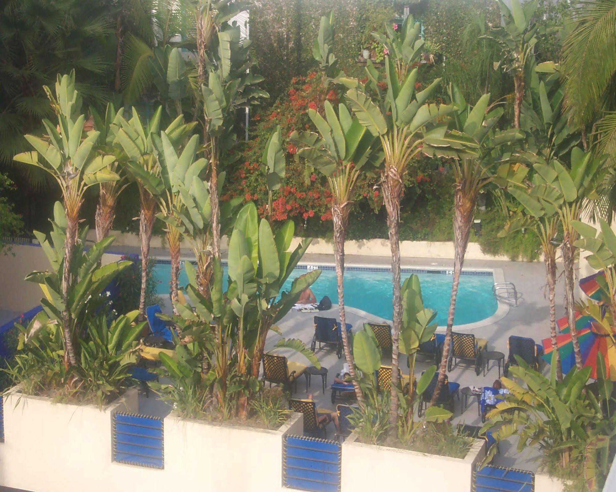 Hotel Ramada Plaza By Wyndham West Hollywood &